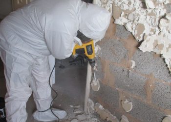 Stripping Mould from Walls