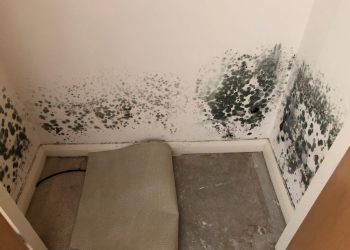 Mould Effected Room